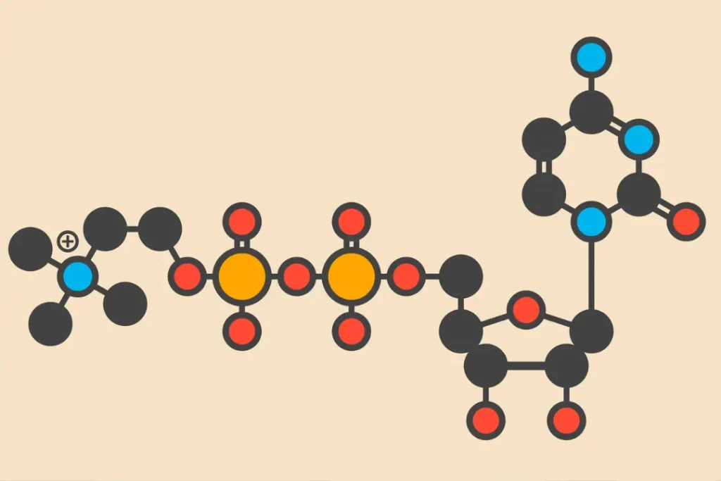 Cognizin Citicoline formula