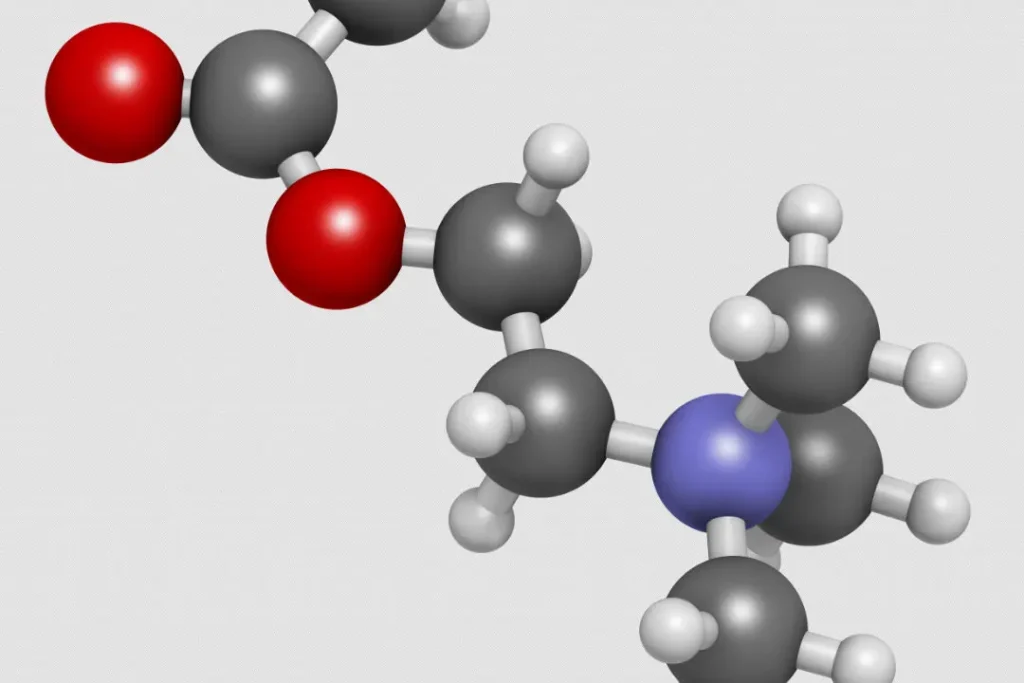 acetylcholine molecules