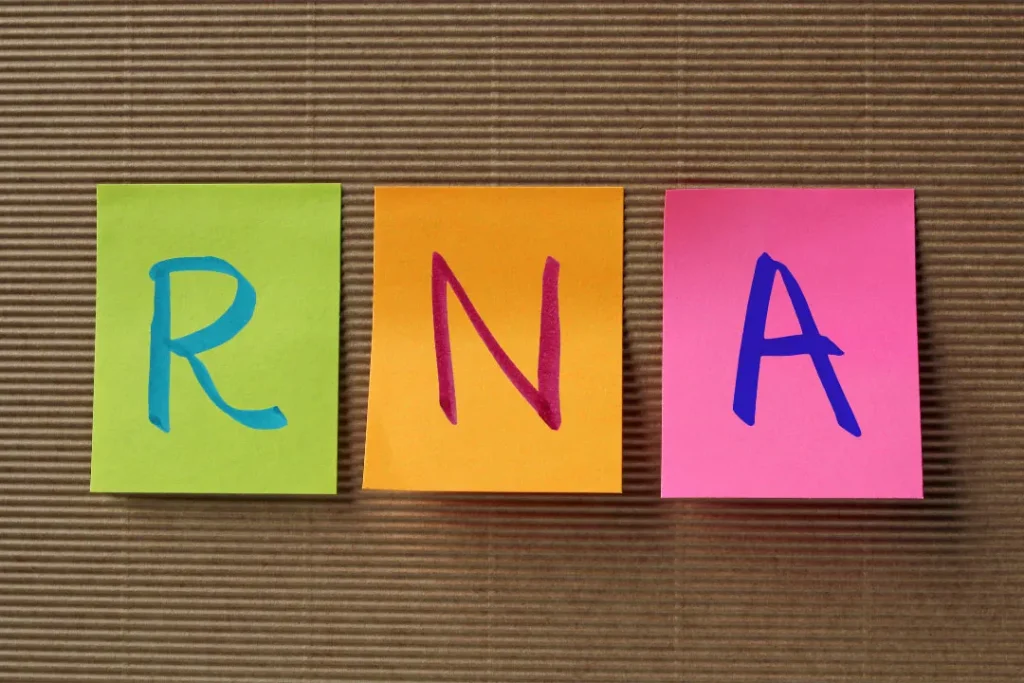 RNA.