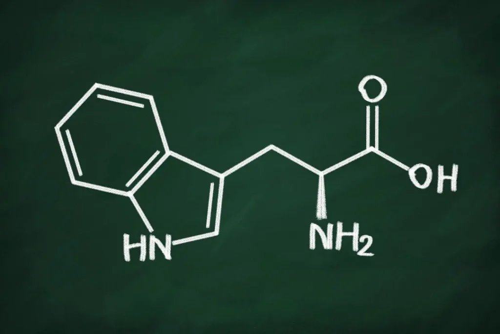 tryptophan structure