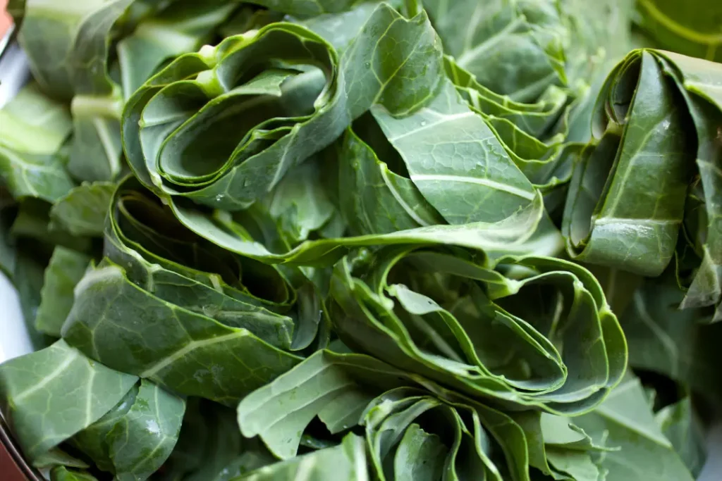 close up of collard greens.