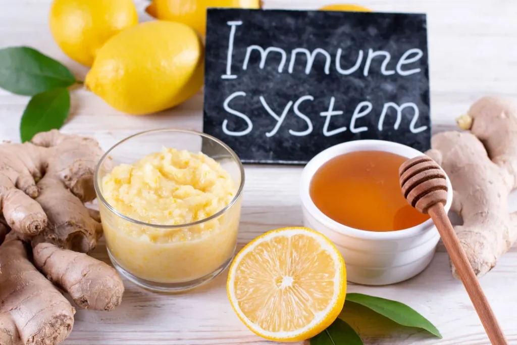 Immune system. 