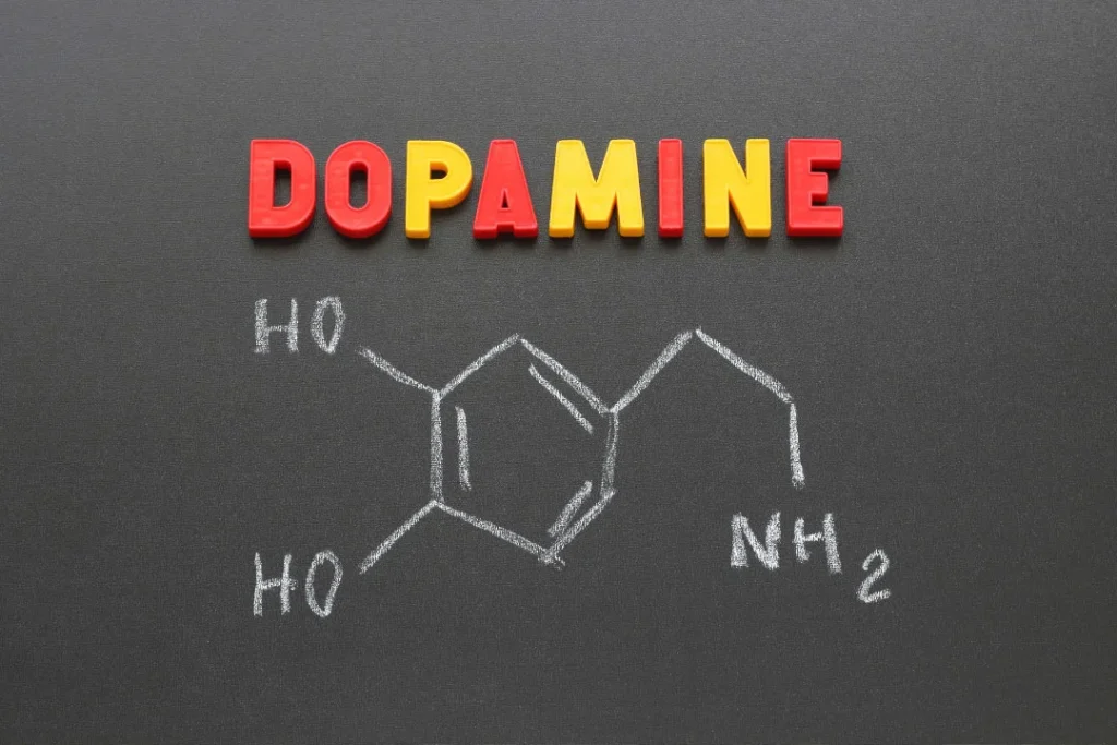 Dopamine formula. 