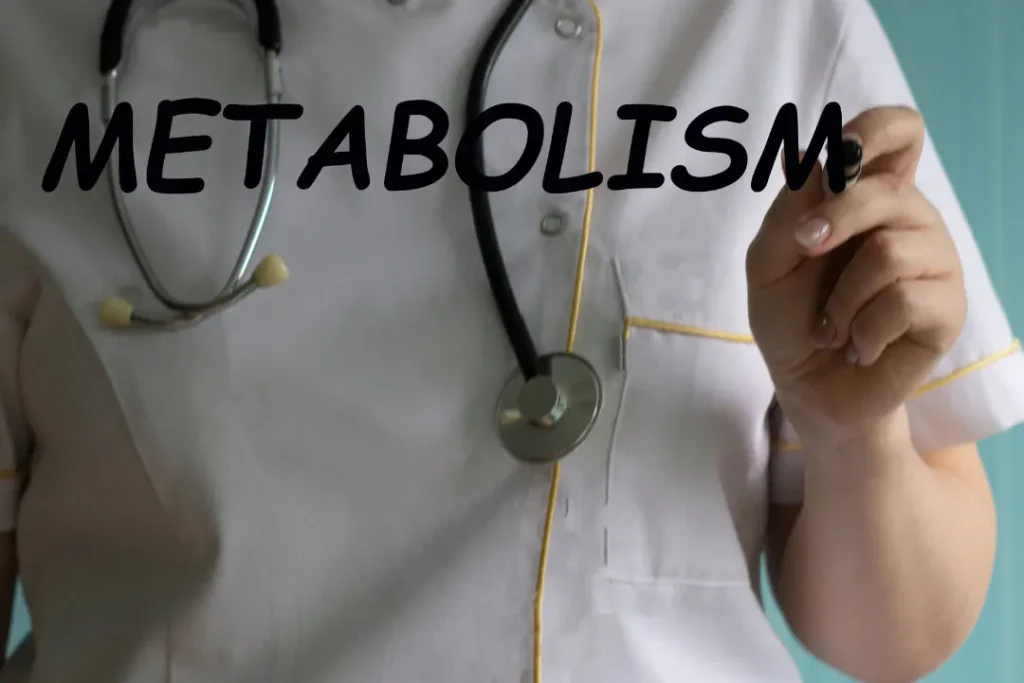 Metabolism is a biological process. 