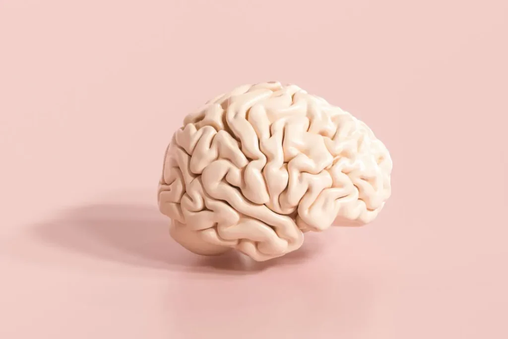 computer artwork of human brain