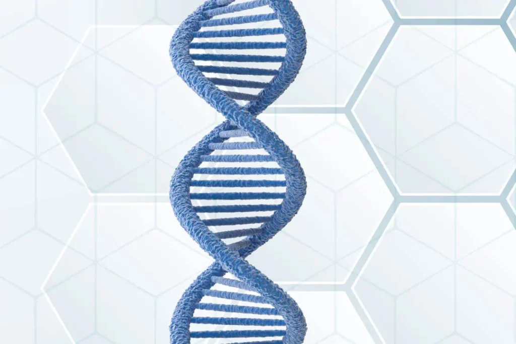 DNA structure. 