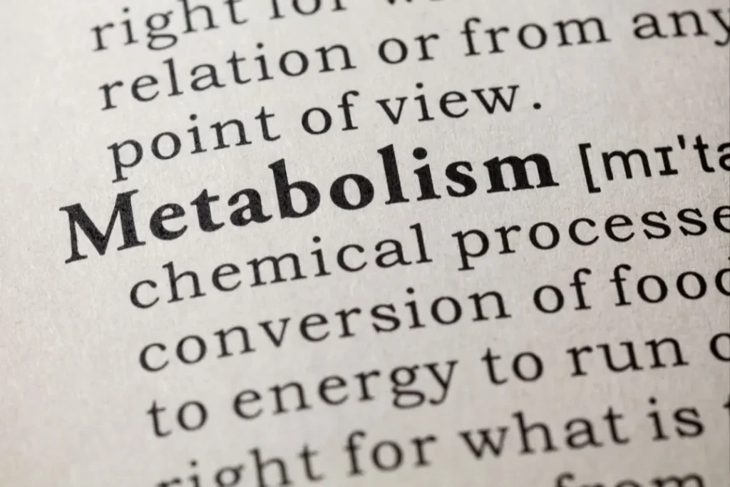 Metabolism. 