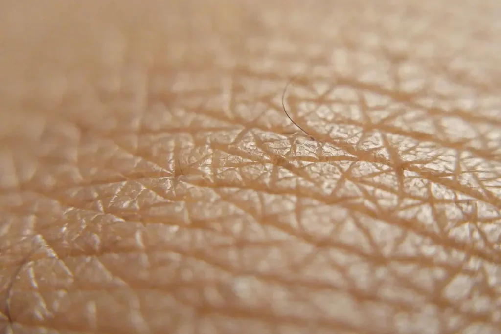 skin close up