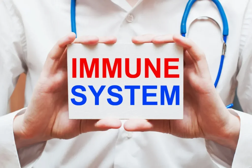 Immune system. 