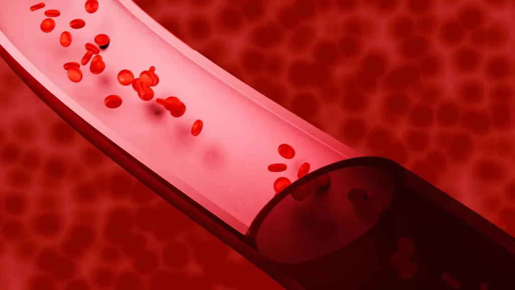 Blood flow in blood vessel. 