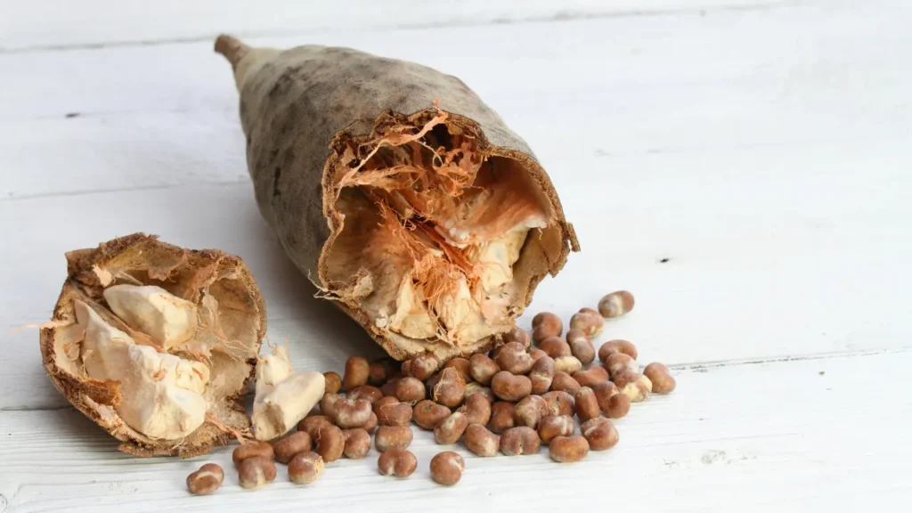 Baobab fruit. 