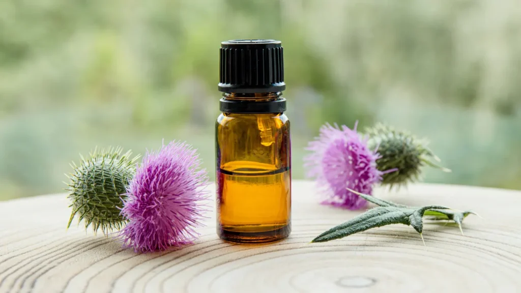 Scotch Thistle oil. 