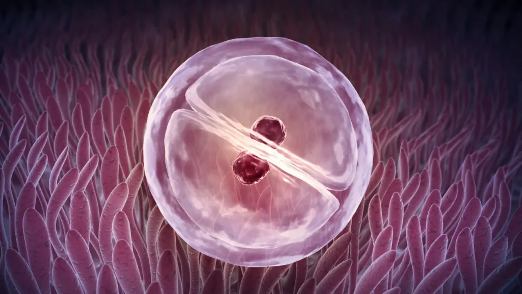 Healthy cell division. 