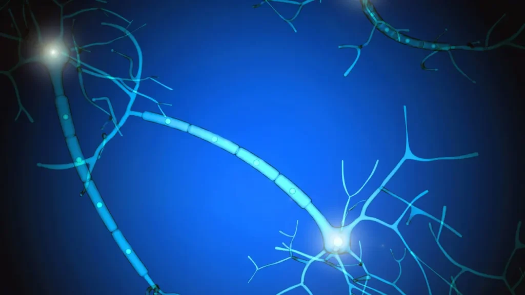 Healthy neurons. 