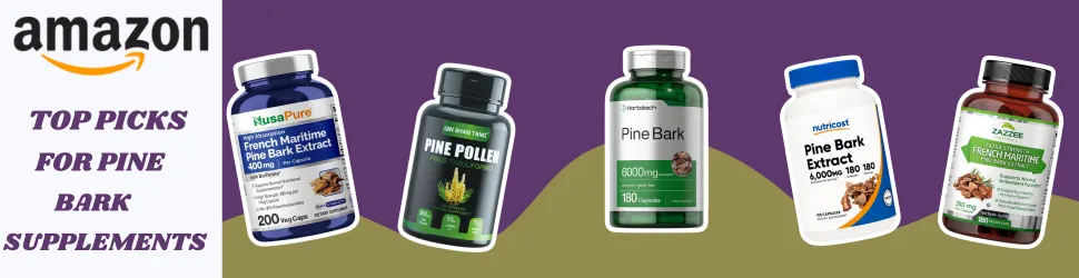 Elevate Your Health with Pine Bark Supplements—Perfect for Both Body and Brain—Available on Amazon!