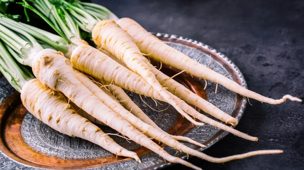 Parsnip as a Nootropic