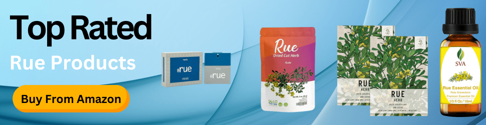 Boost cognitive health and enhance focus with Rue supplements—Elevate your brainpower, Shop Now on Amazon!