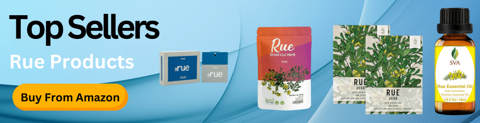 Stay mentally sharp and energized all day with Rue supplements—Unlock focus, Order Now!