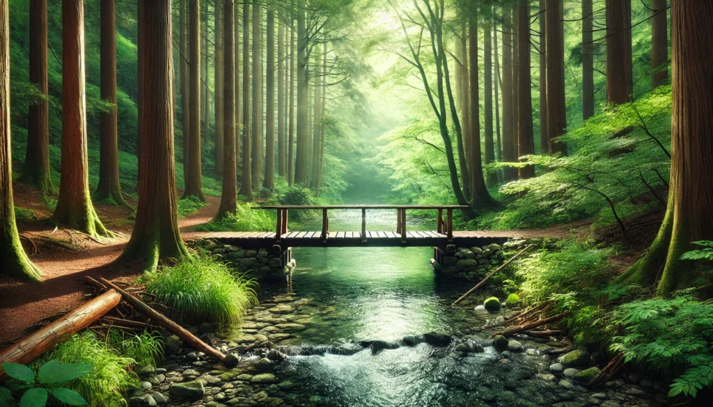 A tranquil forest scene featuring a wooden bridge over a gently flowing stream with sunlight filtering through tall trees, highlighting the stress-relieving benefits of spending time in nature.