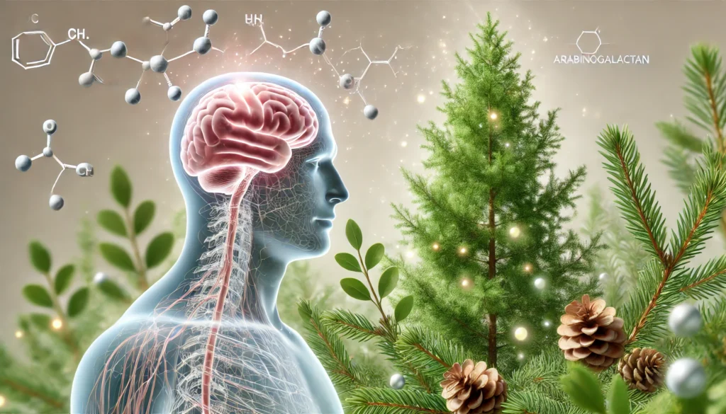 Larch Arabinogalactan and its connection to brain health. 